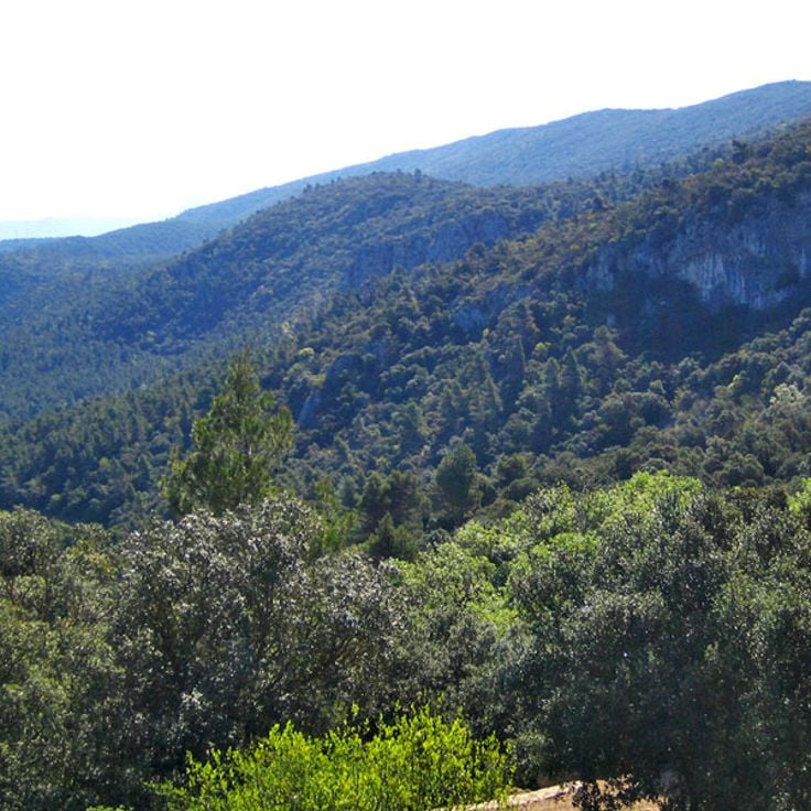 Font Roja naturpark
