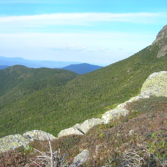 Mount Mansfield State Forest
