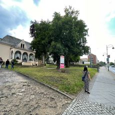 Naturdenkmal Eiche  "Pseudoturneri" Heilbronner Straße in Frankfurt
