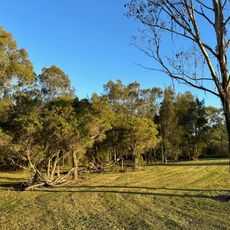 Heron Park