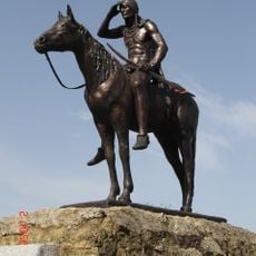 The Scout