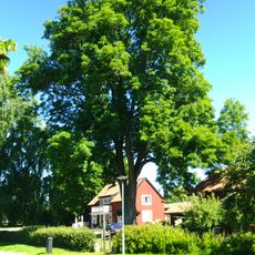 2004169 (W-id) Fornbyasken