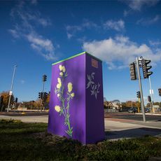 The Butterfly Effect