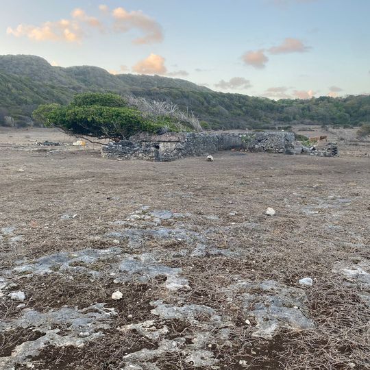 Indigoterie de Grand Fond