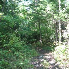 Serpentine-de-Coleraine Ecological Reserve