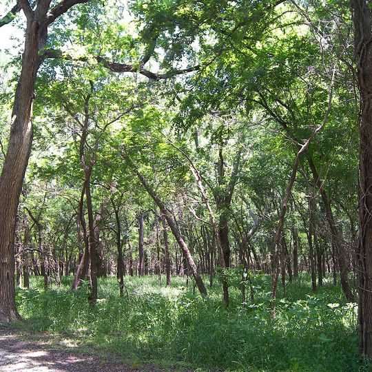 Parc d'État de Mother Neff
