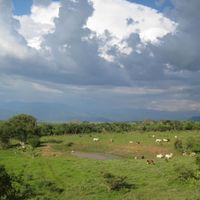 Santa María del Oro