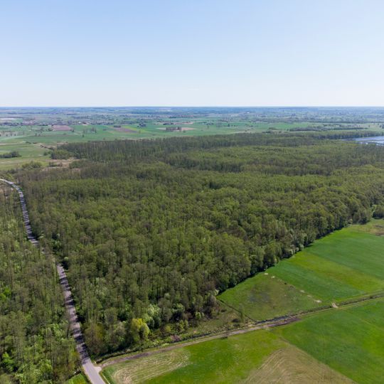 Rezerwat przyrody Olszyny Rumockie