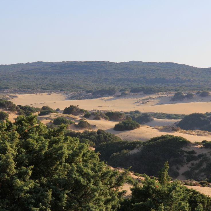Dunas de Arena de Piscinas