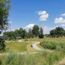 Park in Przyjaźń Estate in Stare Tarnowice
