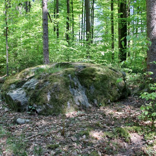 Findling 3 im Pürschwald beim Egidi ENE von Finsterau