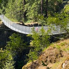 Elk Falls Suspension Bridge
