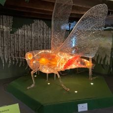 La Cité des Insectes