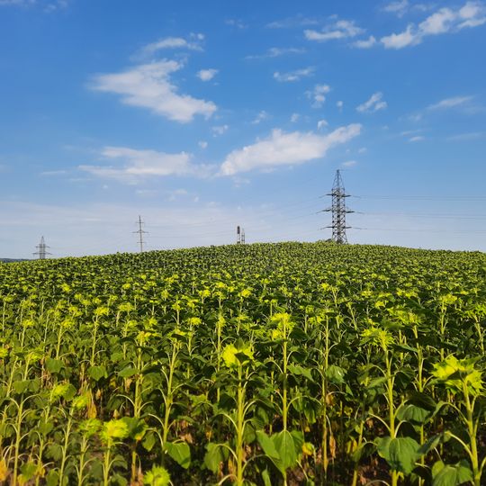 Tumuli - 2 - Chișinău, Biocentrul Academiei de Științe a Moldovei