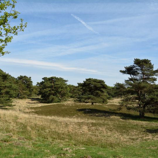 Heiden und Dünen bei Störkathen