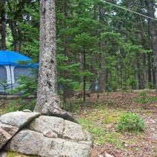 Blackwoods Campground