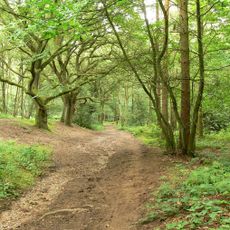 Kingsford Country Park