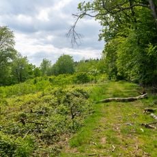 LSG-Talbereich am Sperlberg