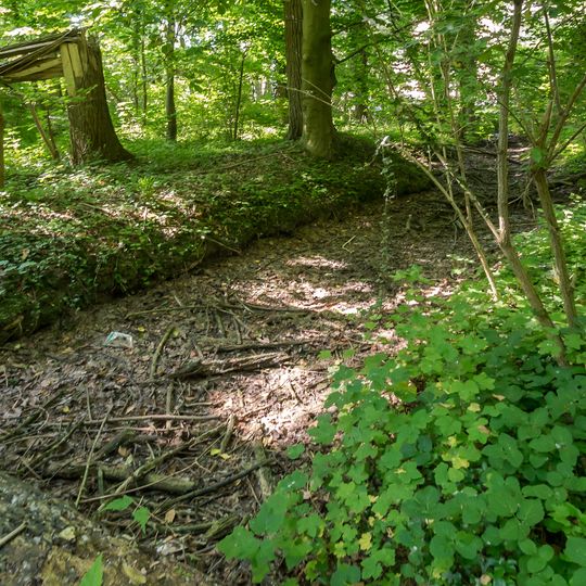 NSG Haus Overbach-Ost