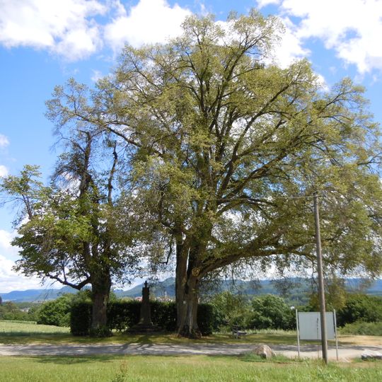 2 Linden mit Kriegerdenkmal