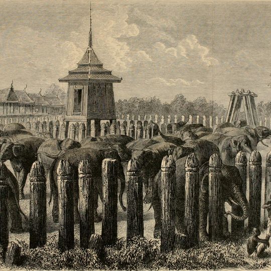 Elephant Kraal, Ayutthaya