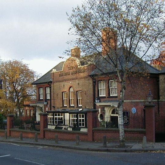 The Old Bull and Bush