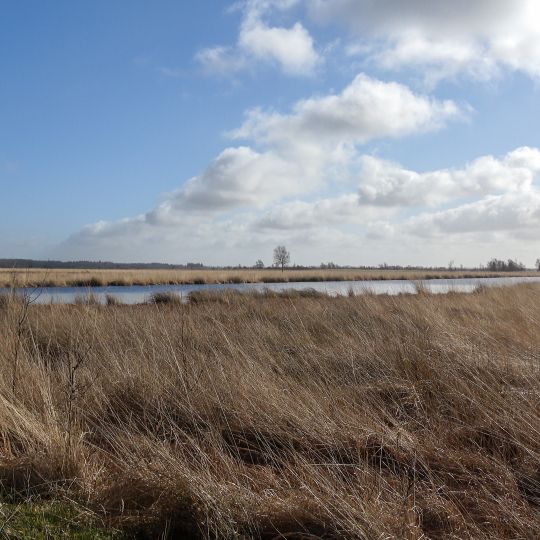 NSG Fröslev-Jardelunder Moor