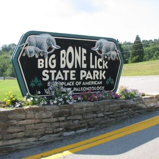 Sítio Histórico Estadual de Big Bone Lick