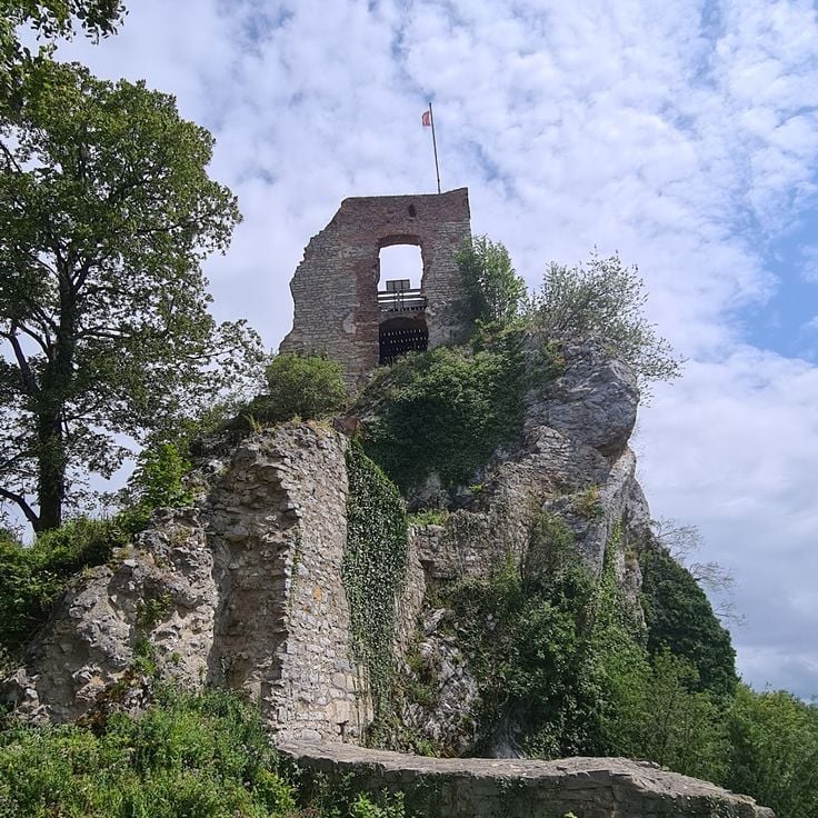 Феррет