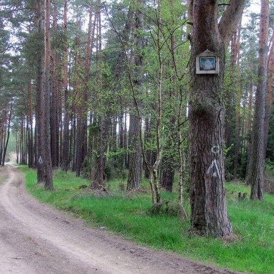 Obrázek severně od Štichovic