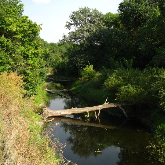 Wjasiwozkyj sakasnyk