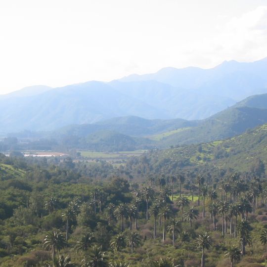 La Campana-Peñuelas