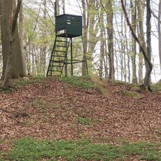 Großsteingrab Rothenmoor 3