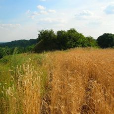 Strzelce Dolne (grodzisko)