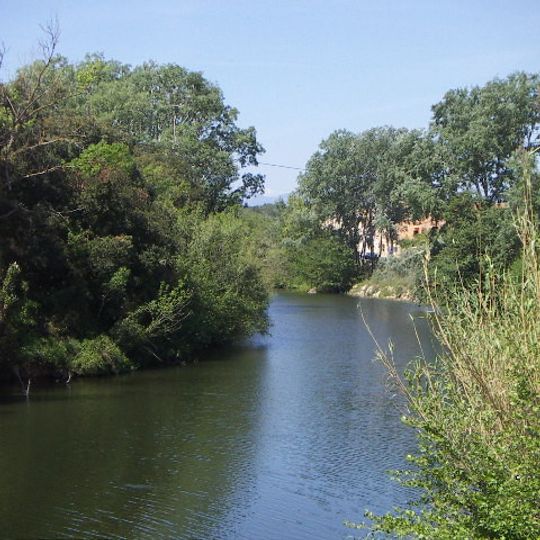 Muga