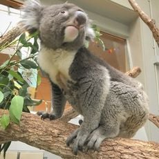 淡路ファームパーク