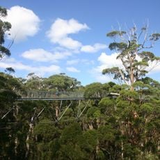 Walpole-Nornalup National Park