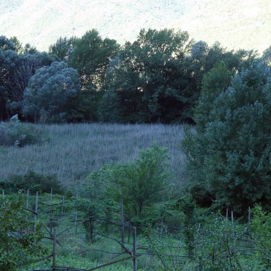 Biotopo Palù di Borghetto