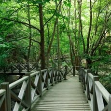 Sadağı Kanyonu Tabiat Parkı
