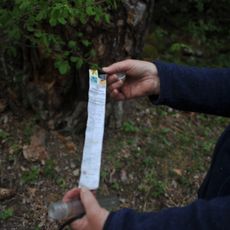 En tall Lysings häradsallmänning