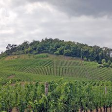 Burg Eselsberg