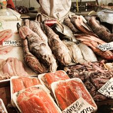 Terminal Pesquero de Santiago