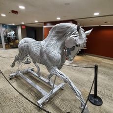 International Museum of the Horse