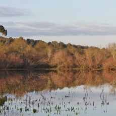 Boquilobo Bog Natural Reserve