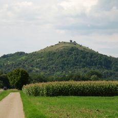 Burg Limburg