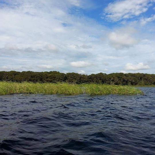 Lake Pithlachocco Canoe Site