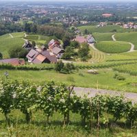 Sasbachwalden