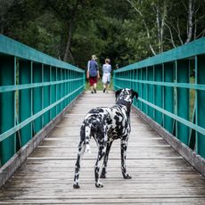Lávka přes Klabavu u Ejpovic