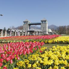 Gunma Flower Park