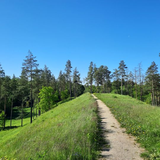 Grodzisko Kaczaniszki
